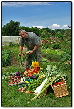 Une belle sélection de légumes au Potager de l'Aubinière